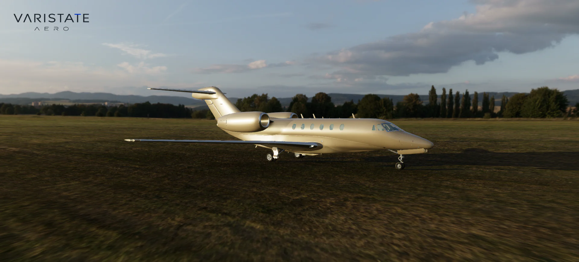 Gold-colored private jet shown in profile on a grass airfield beneath a pale sky.